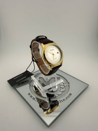 Citizen Eco-Drive Gold & Silver Dress Watch (AW1232-04A)
