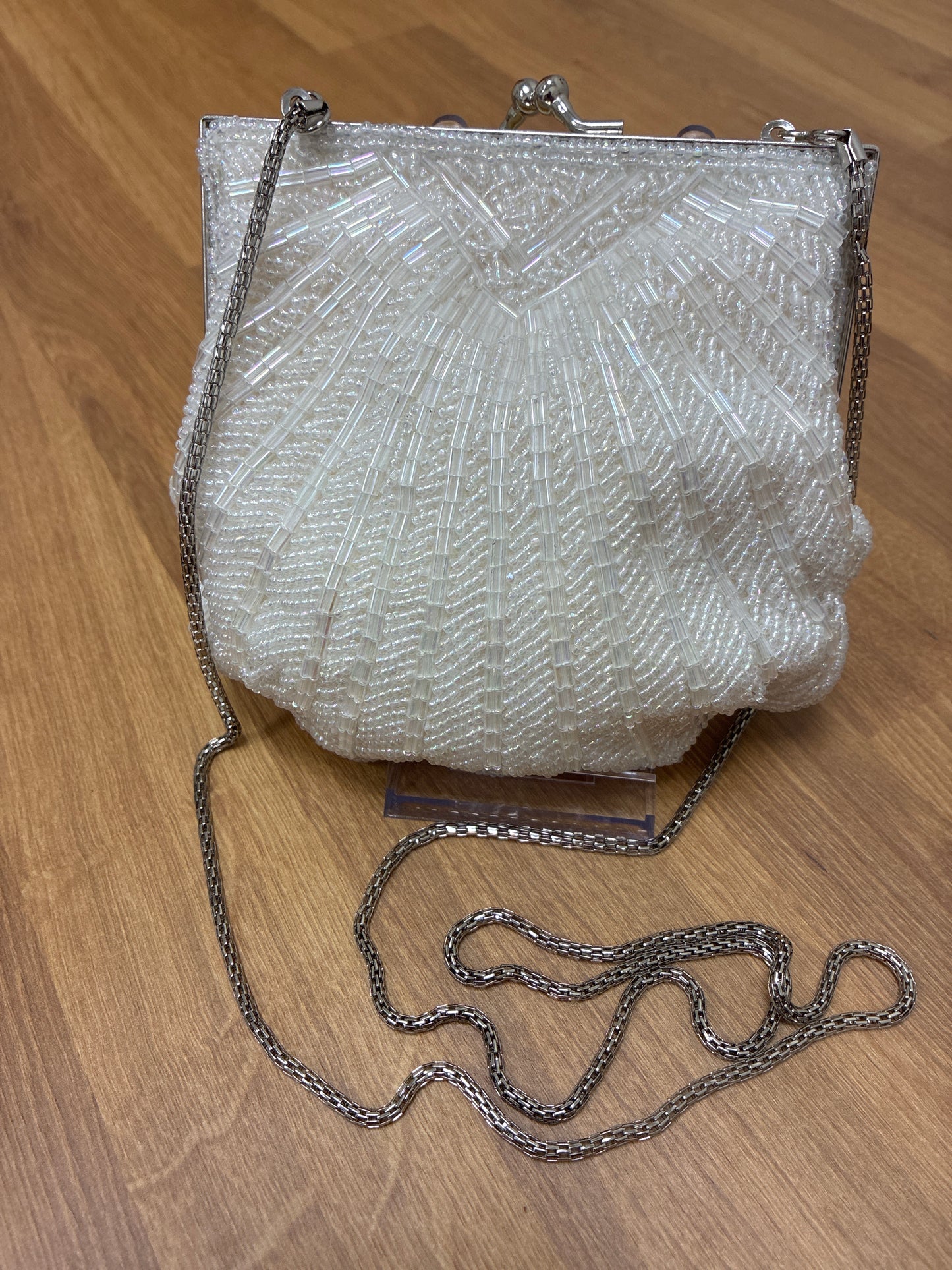 Clamshell Beaded with Silver Box Chain