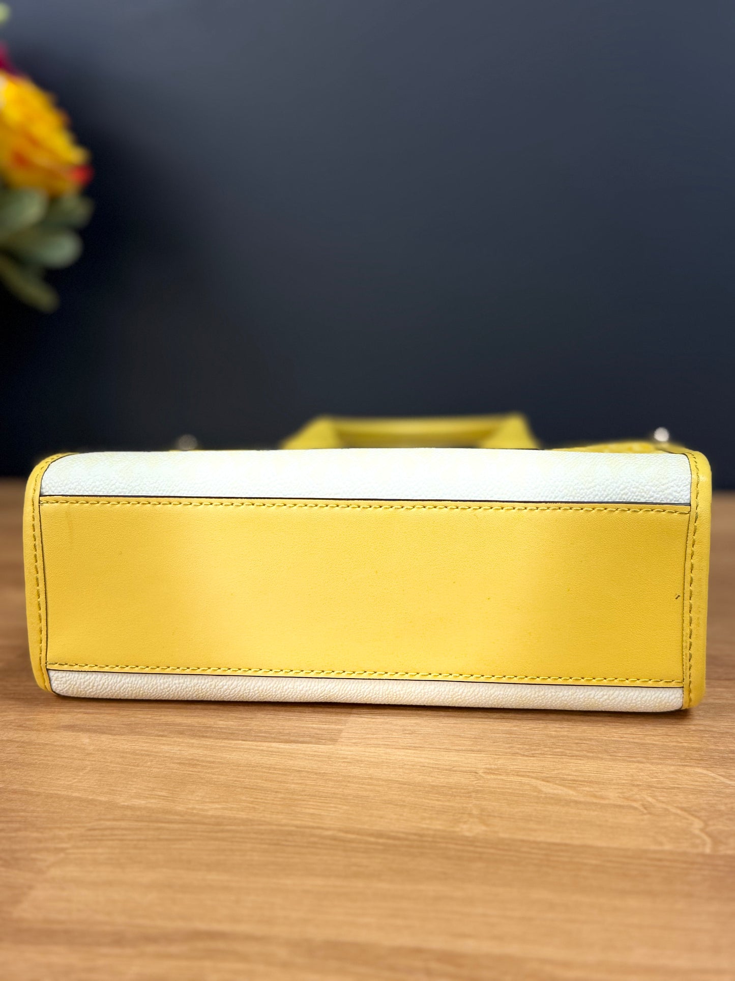 Michael Kors Mirella Small Ombré Signature Logo Crossbody